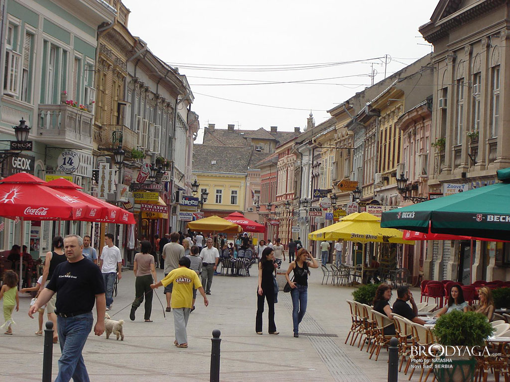 Dunavska Street